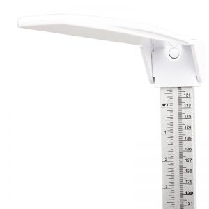 MS3400 Adult Scale - 300kg