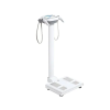 Ma601 Scale